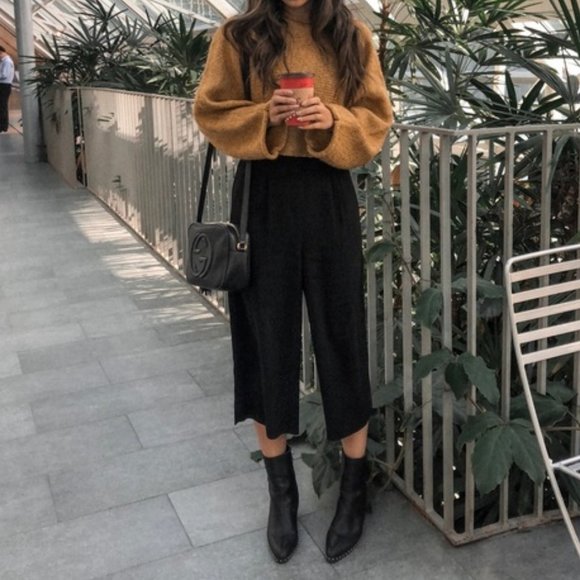 Aritzia Pants - Aritzia Babaton Lazarus Cropped Wide Leg Culottes